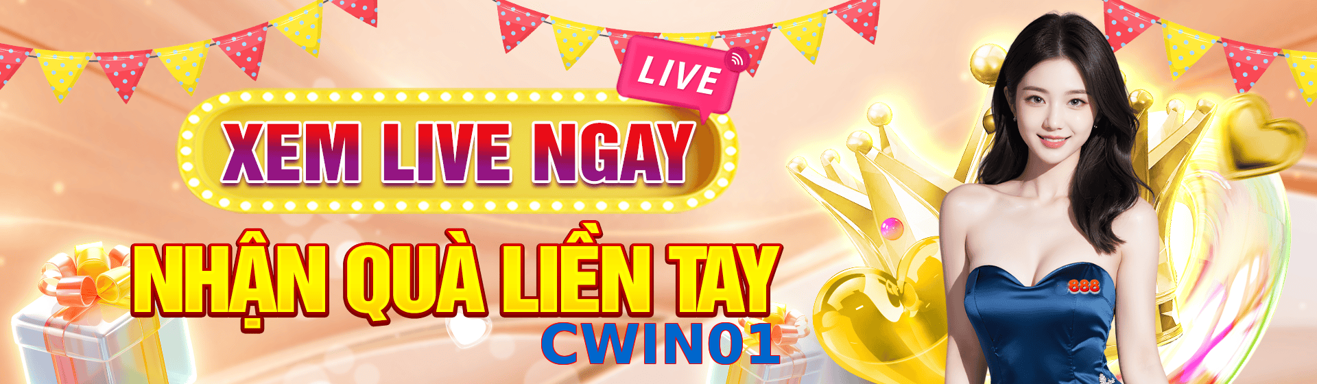 CWIN01