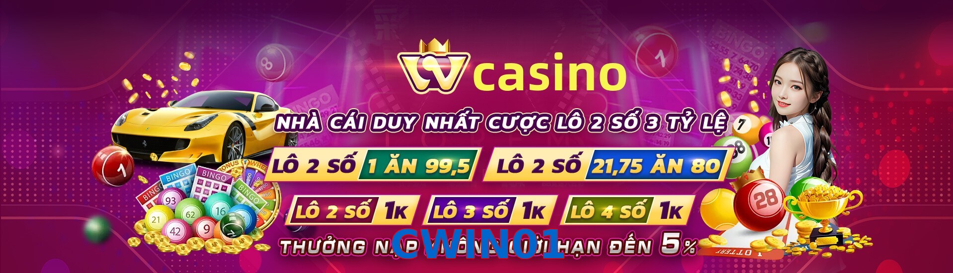 CWIN01